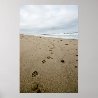 Poster Empreintes
