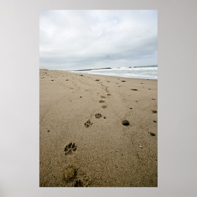 Poster Empreintes (Devant)