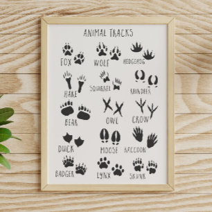 Poster Empreintes d'animaux 