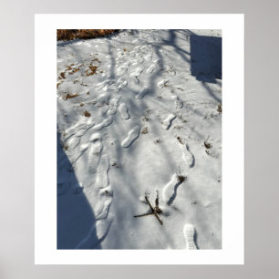 Poster Empreintes dans l'affiche de neige