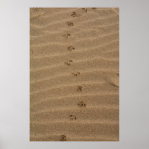 Empreintes dans le sable