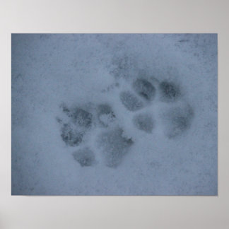Poster Empreintes de pattes chiots en neige