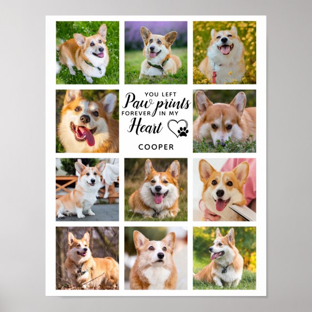 Poster Empreintes de pattes commémoratifs pour animaux de (Devant)