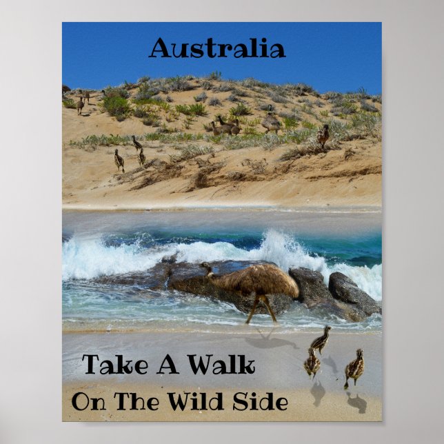 Poster Emu Island Australie, (Devant)