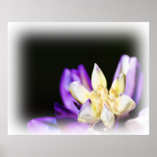 Poster En amour avec Lupine White Vignette