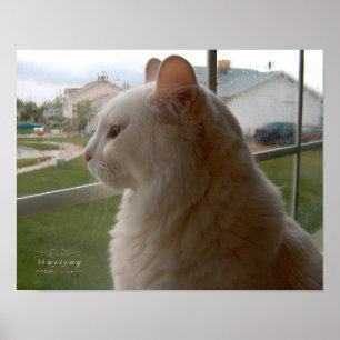 Poster En attente de mon humain