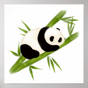 Poster en bambou Panda Bear