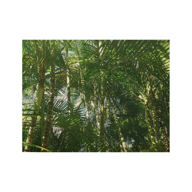 Poster En Bois Forêt de palmiers Vert tropical (Devant)