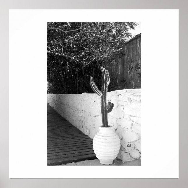 Poster en cactus noir et blanc photo d'été (Devant)