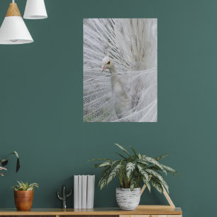 Poster en dentelle blanche