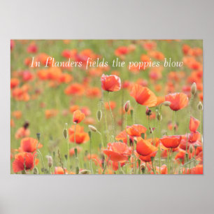 Poster En Flandre champs le pavot souffle
