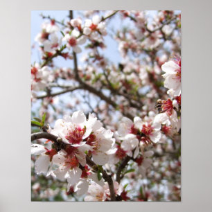 Poster en fleurs d'arbre rose