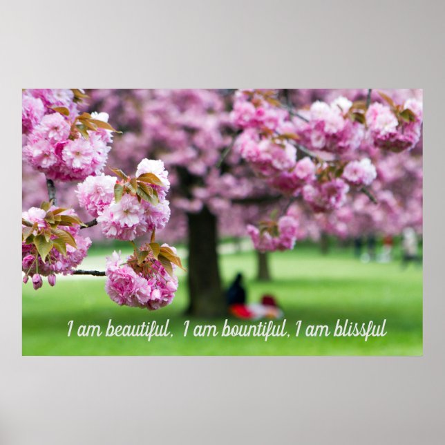 Poster en fleurs de cerisiers roses (Devant)
