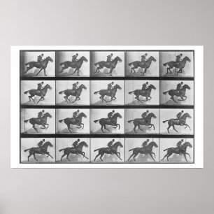 Poster En galopant le cheval, plaquez 628 'de la