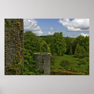 Poster En Irlande, au château de Blarney, une tour en pi
