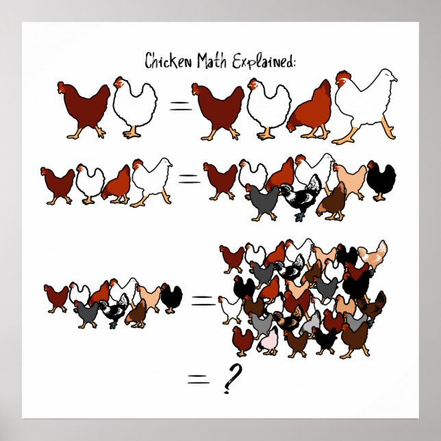 Poster en mathématiques de poulet (Devant)