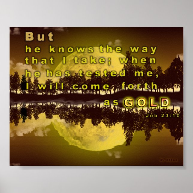 Poster En Or (Devant)