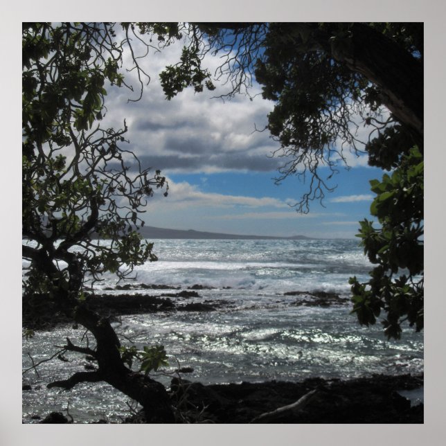 Poster En Regardant Par La Fenêtre (Devant)