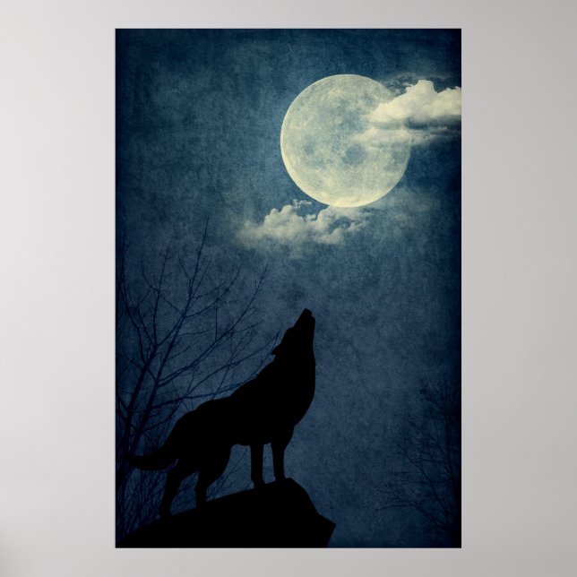 Poster en silhouette du loup hurlant de la pleine  (Devant)