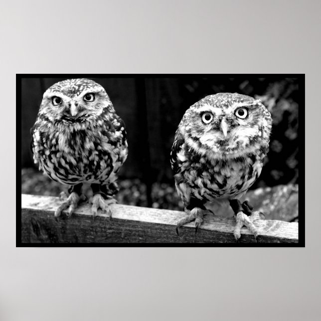 Poster en toile noire et blanche de deux petites c (Devant)