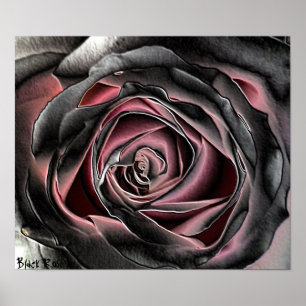 Poster en toile Rose noir