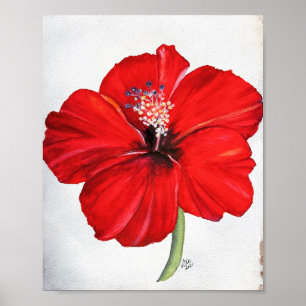 Poster en toile rouge Hibiscus Premium