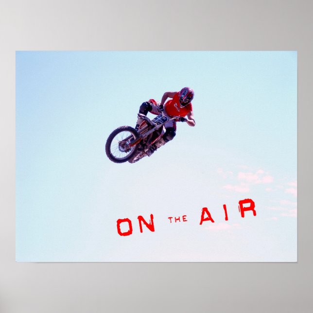 Poster En vol (Devant)