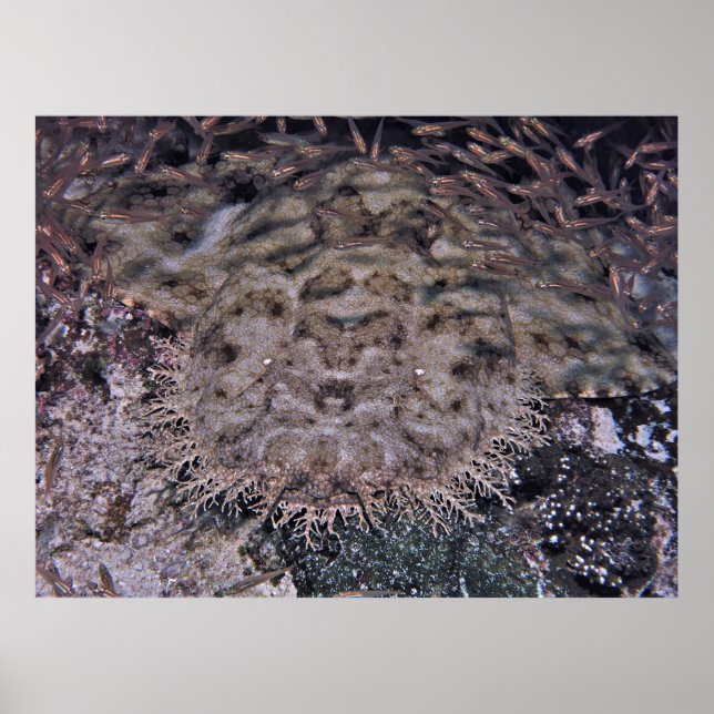 Poster En vue claire (Devant)