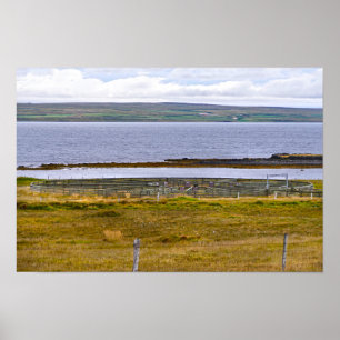 Poster Enclos de tri des moutons par un fjord, Islande