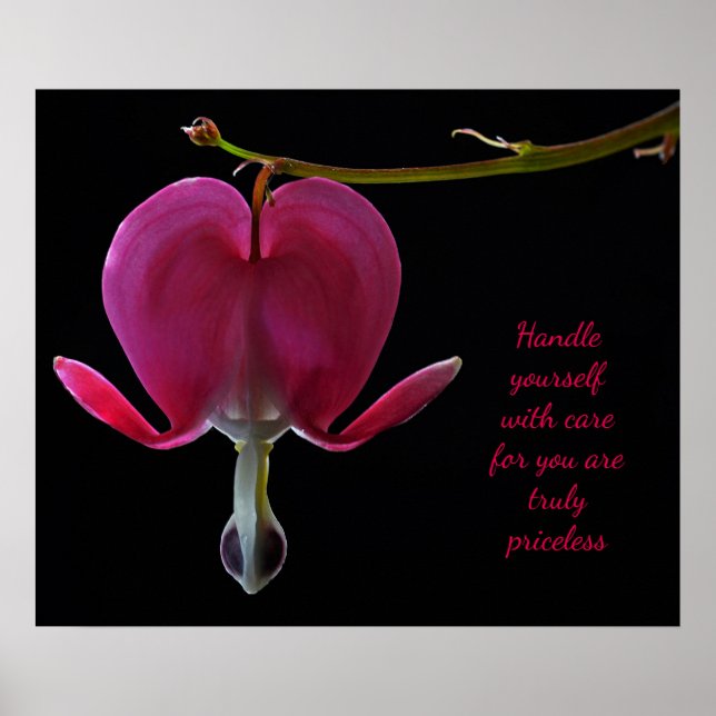 Poster Encouragement de Fuchsia (Devant)