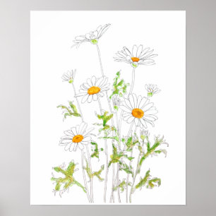 Poster encre blanche Margaret daisy et aquarelle