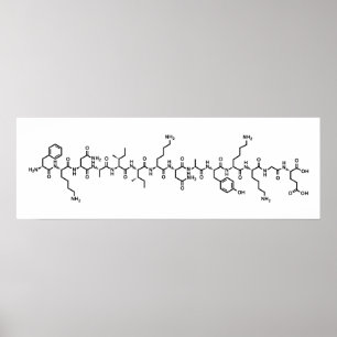 Poster endorphin hormone chemical formula symbol science