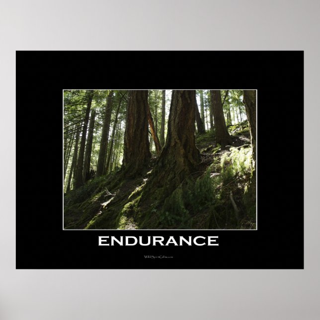 Poster ENDURANCE Forest Motivation Photo Imprimer (Devant)