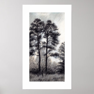 Poster ENDURÉE DU COUPLE par CR SINCLAIR