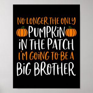 Poster Enfants Big Brother Pregancy Faire-part Hallo