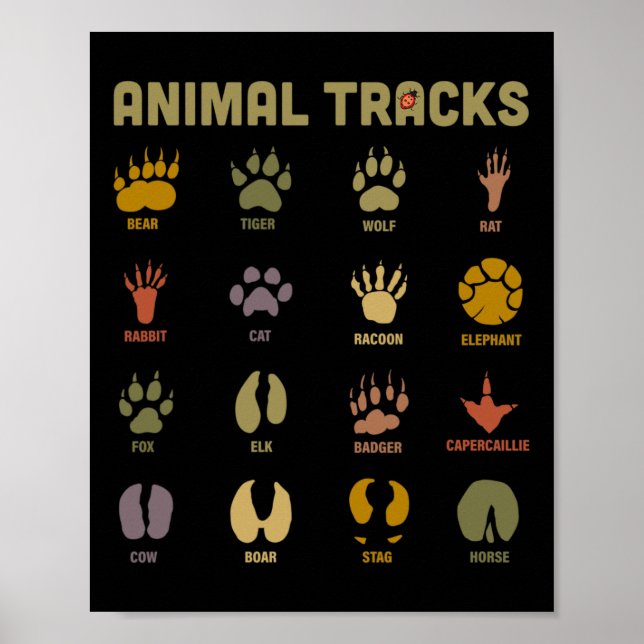 Poster Enfants Sauvage Animaux Tracks Enfants Apprendre (Devant)