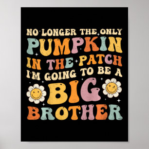 Poster Enfants Super Big Brother Annonce de grossesse aut