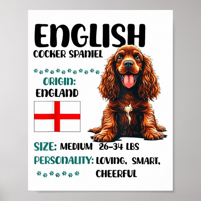 Poster English Er Spaniel Origin Funny Er Spaniel Lover  (Devant)