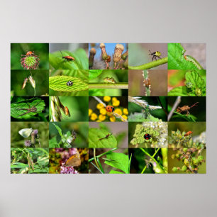 Poster Enquêter - Collage