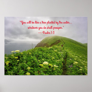 Poster Enraciné dans les bénédictions