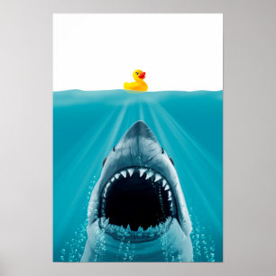 Poster Enregistrer Ducky