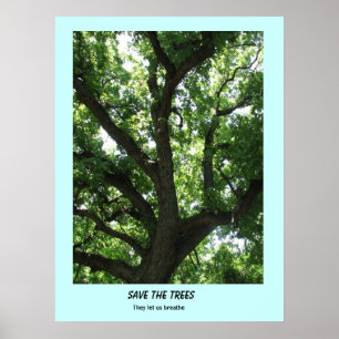 Poster Enregistrer l'affiche Arbres
