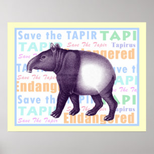 Poster Enregistrer l'affiche Tapir - Tapir asiatique