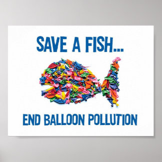 POSTER ENREGISTRER UN POISSON - FIN DE LA POLLUTION DE BA
