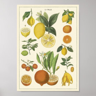 Poster enseignement vintage