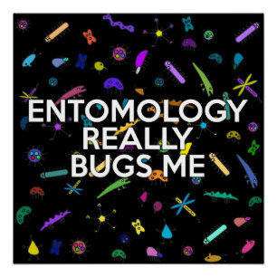 Poster ENTOMOLOGIE VRAIMENT BUGS ME Science Plaisanterie