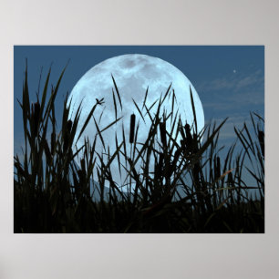 Poster Entre la lune et l'affiche de marais