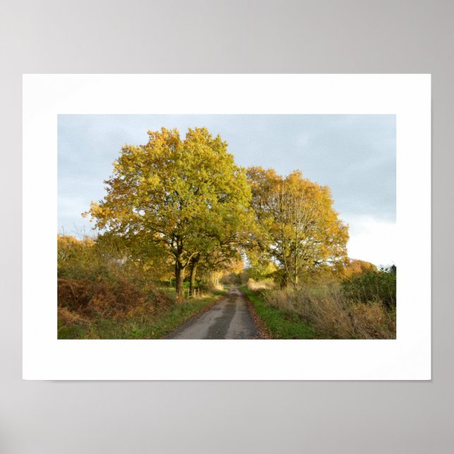Poster Entre les chênes : Cheshire rural (Devant)