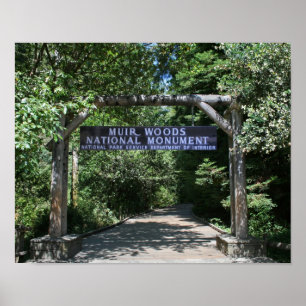 Poster "Entrée Muir Woods"