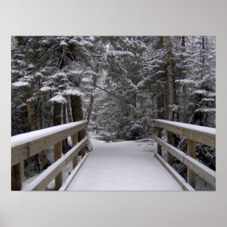 Poster Entrée - Scène de neige du New Hampshire